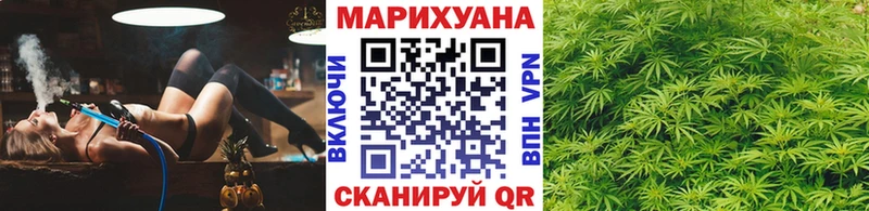 Конопля Ganja  Чегем 